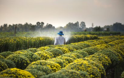 切勿局限你的视野：闷声发大财的精准农业