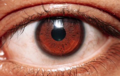 谷歌AI算法新突破: 透过视网膜就知道你会不会得心脏病!