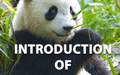 Live Webinar: Learn Introduction of Pandas for Data Science, So Easy!