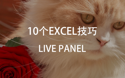 Live Webinar: 10 Skills about Excel