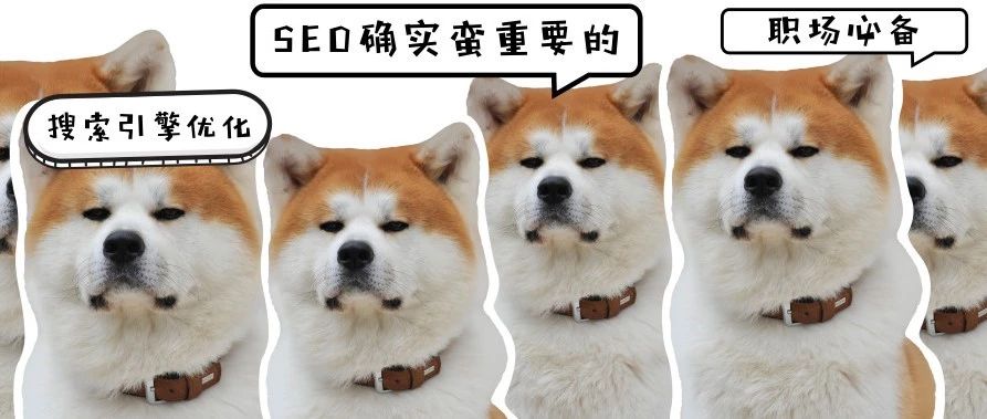 数据高玩是如何通过SEO搜索引擎优化30天获得70000+访问数据的? 数据高玩是如何通过SEO搜索引擎优化30天获得70000+访问数据的?
