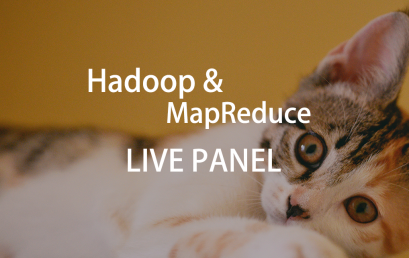 Live Webinar: Knowledge about Hadoop and MapReduce