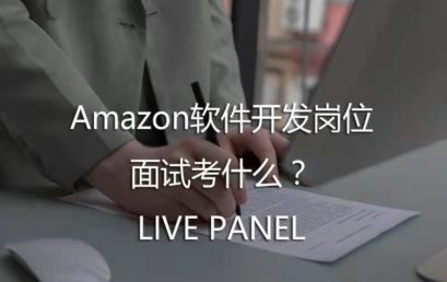AI Pin: Amazon Software Development Job Interview