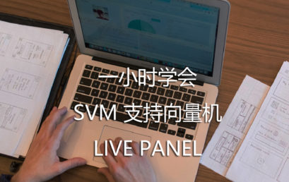 Learn SVM in One Hour