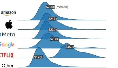 2022年，FAANG公司数据岗位薪资一览