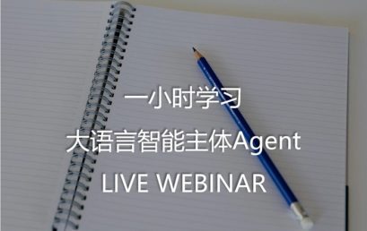 Learn LLM Intelligent Agent in One Hour