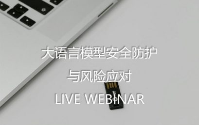 Security Protection and Risk Response of LLM