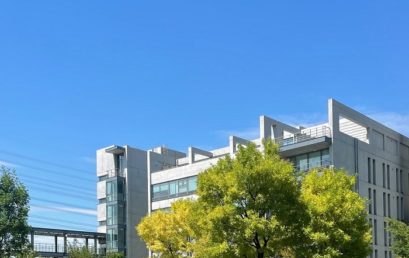 华人为什么在美国AI领域占据中坚地位