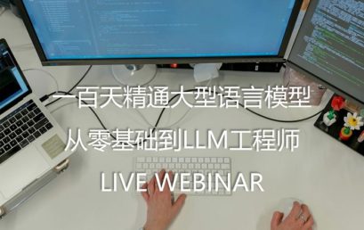 Mastering LLM in 100 Days