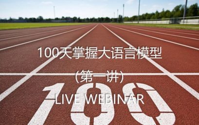 Lecture 1:100 Days of LLM Mastery