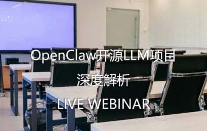Analysis of the OpenClaw Open-Source LLM Project